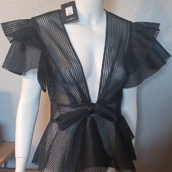 Fashion Nova Tops - Fashion Nova Black Sheer Ruffle Blouse
